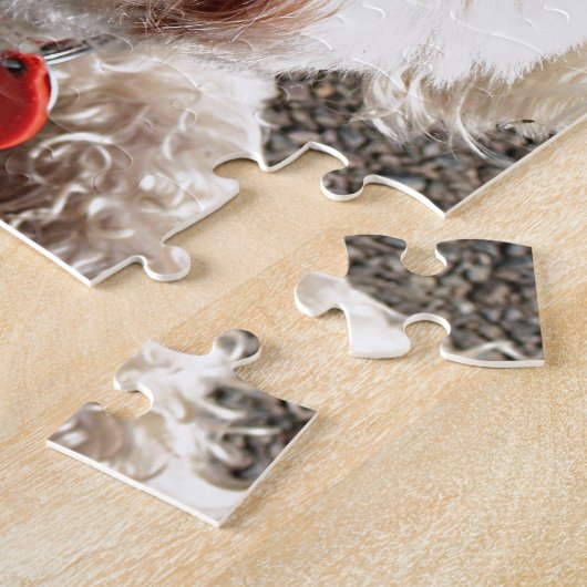 Puzzle Chien maltais mignon de Shih Tzu (Côté)