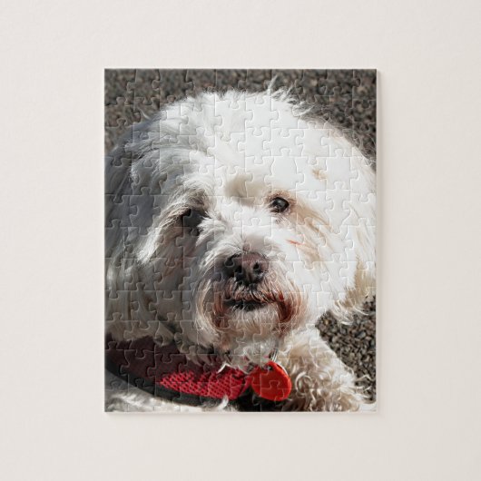 Puzzle Chien maltais mignon de Shih Tzu (Vertical)