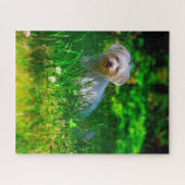 Puzzle Chien Maltais Se Reproduisent. (Horizontal)