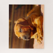 Puzzle Chien Mastiff. (Vertical)