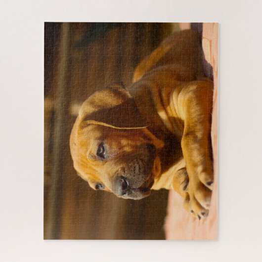 Puzzle Chien Mastiff. (Vertical)