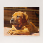 Puzzle Chien Mastiff. (Horizontal)