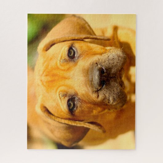Puzzle Chien Mastiff. (Vertical)