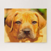 Puzzle Chien Mastiff. (Horizontal)