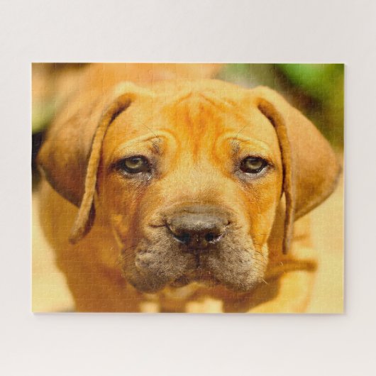 Puzzle Chien Mastiff. (Horizontal)