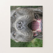 Puzzle Chien Mastiff Corso Cane (Vertical)