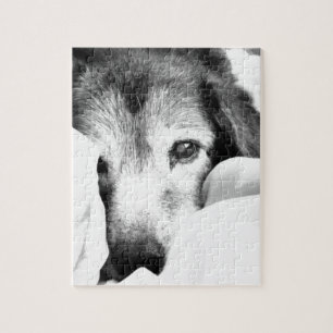 Puzzle chien mignonne sur le lit noir blanc