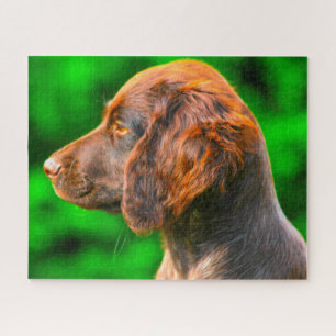 Puzzle Chien Munsterlander.