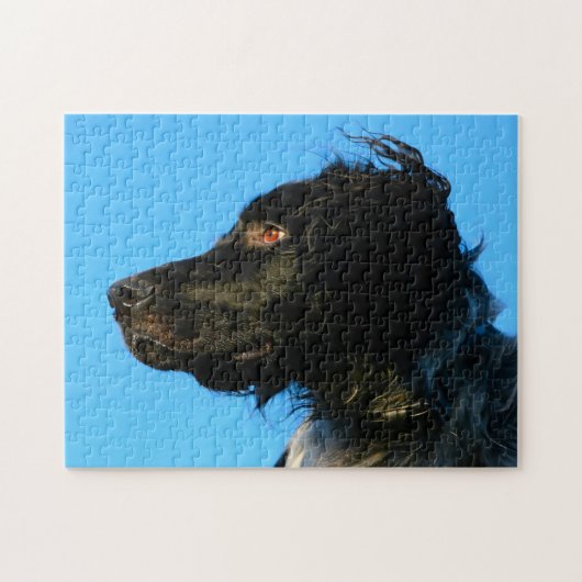 Puzzle Chien Munsterlander. (Horizontal)