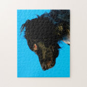 Puzzle Chien Munsterlander. (Vertical)