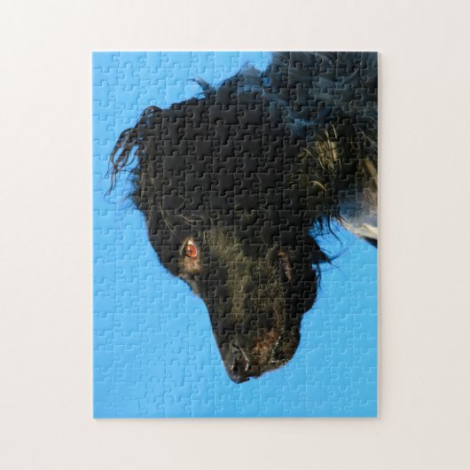 Puzzle Chien Munsterlander. (Vertical)