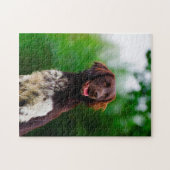 Puzzle Chien Munsterlander. (Horizontal)