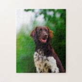 Puzzle Chien Munsterlander. (Vertical)