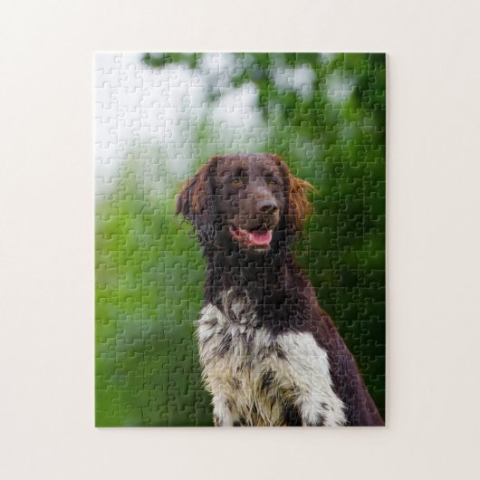 Puzzle Chien Munsterlander. (Vertical)