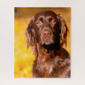 Puzzle Chien Munsterlander. (Vertical)