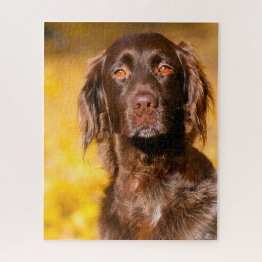 Puzzle Chien Munsterlander. (Vertical)