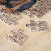 Puzzle Chien noir et bronzage de Coonhound (Côté)