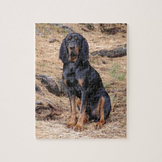 Puzzle Chien noir et bronzage de Coonhound (Vertical)