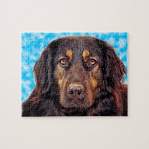 Puzzle Chien noir Hovawart.