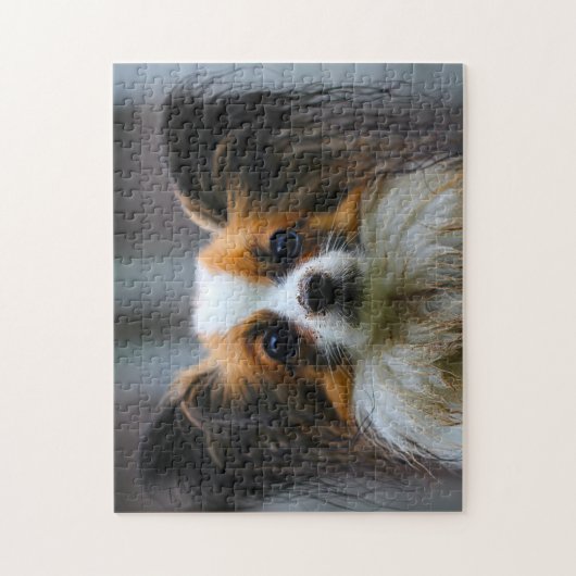Puzzle Chien Papillon. (Vertical)
