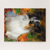 Puzzle Chien Papillon. (Horizontal)