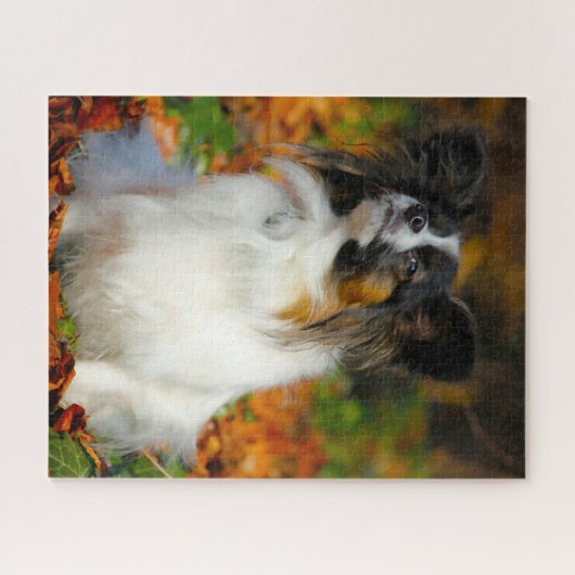 Puzzle Chien Papillon. (Horizontal)