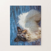 Puzzle Chien Papillon. (Vertical)