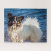 Puzzle Chien Papillon. (Horizontal)