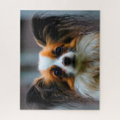 Puzzle Chien Papillon. (Vertical)