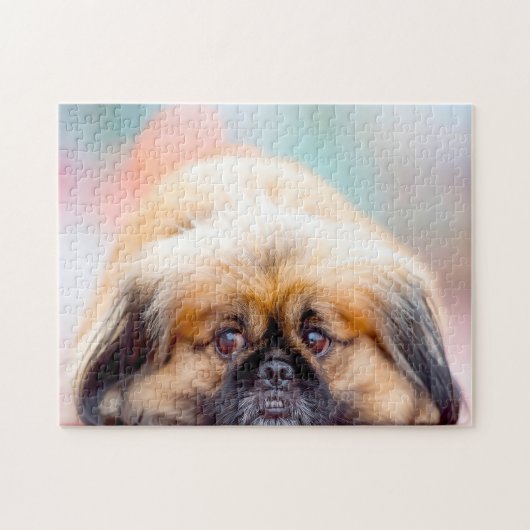 Puzzle Chien Pékinois. (Horizontal)