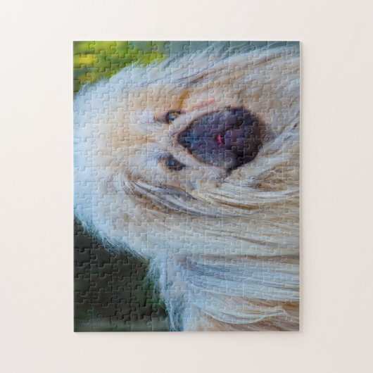 Puzzle Chien pékinois. (Vertical)