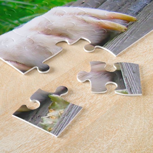 Puzzle Chien Pharaon. (Côté)