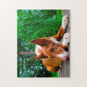 Puzzle Chien Pharaon. (Vertical)