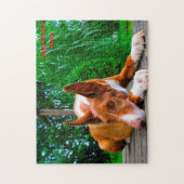 Puzzle Chien Pharaon. (Vertical)