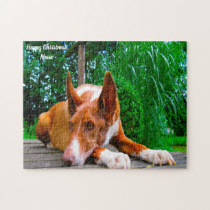 Puzzle Chien Pharaon.