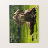 Puzzle Chien Pointeur Allemand. (Vertical)