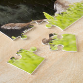 Puzzle Chien Pointeur Allemand. (Côté)