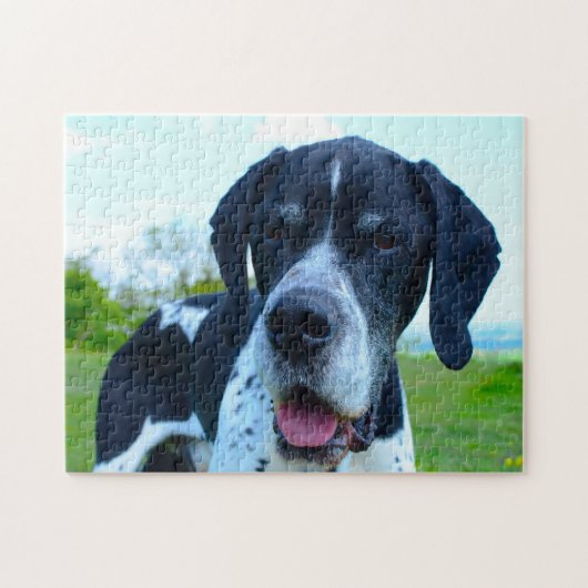Puzzle Chien Pointeur Anglais. (Horizontal)