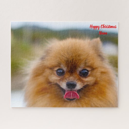 Puzzle Chien Poméranien. (Horizontal)