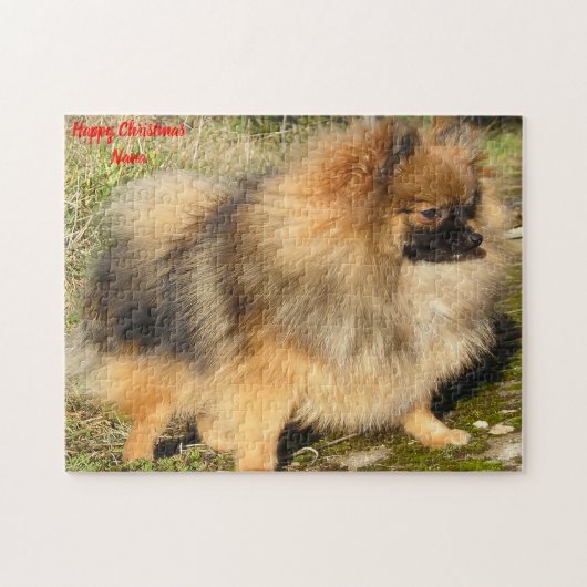 Puzzle Chien Poméranien. (Horizontal)