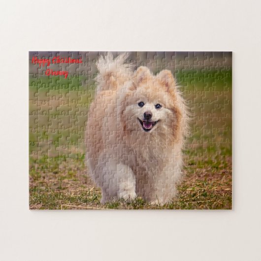Puzzle Chien Poméranien. (Horizontal)