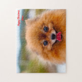 Puzzle Chien Poméranien. (Vertical)