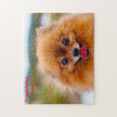 Puzzle Chien Poméranien. (Vertical)