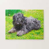 Puzzle Chien Puli Hongrois. (Horizontal)