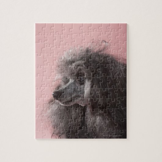 Puzzle Chien regardant loin (Vertical)
