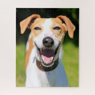 Puzzle Chien riant des images   de Getty