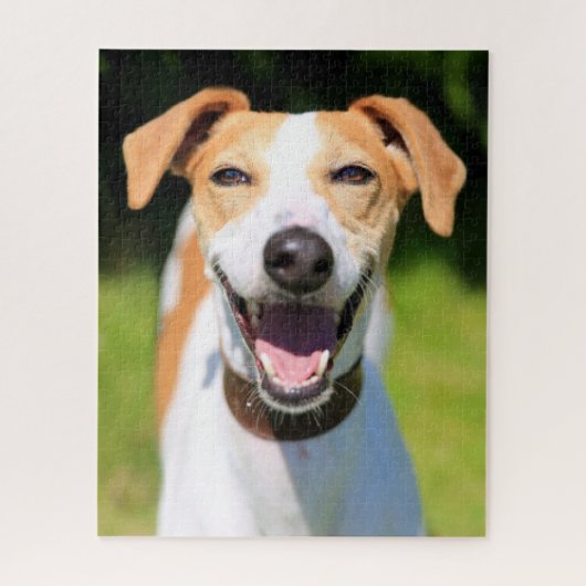 Puzzle Chien riant des images | de Getty (Vertical)