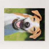 Puzzle Chien riant des images | de Getty (Horizontal)
