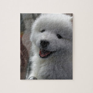 Puzzle Chien Samoyé