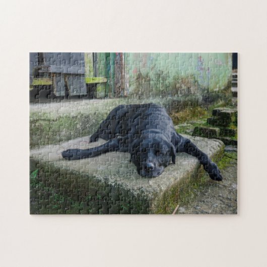 Puzzle Chien somnolent (Horizontal)